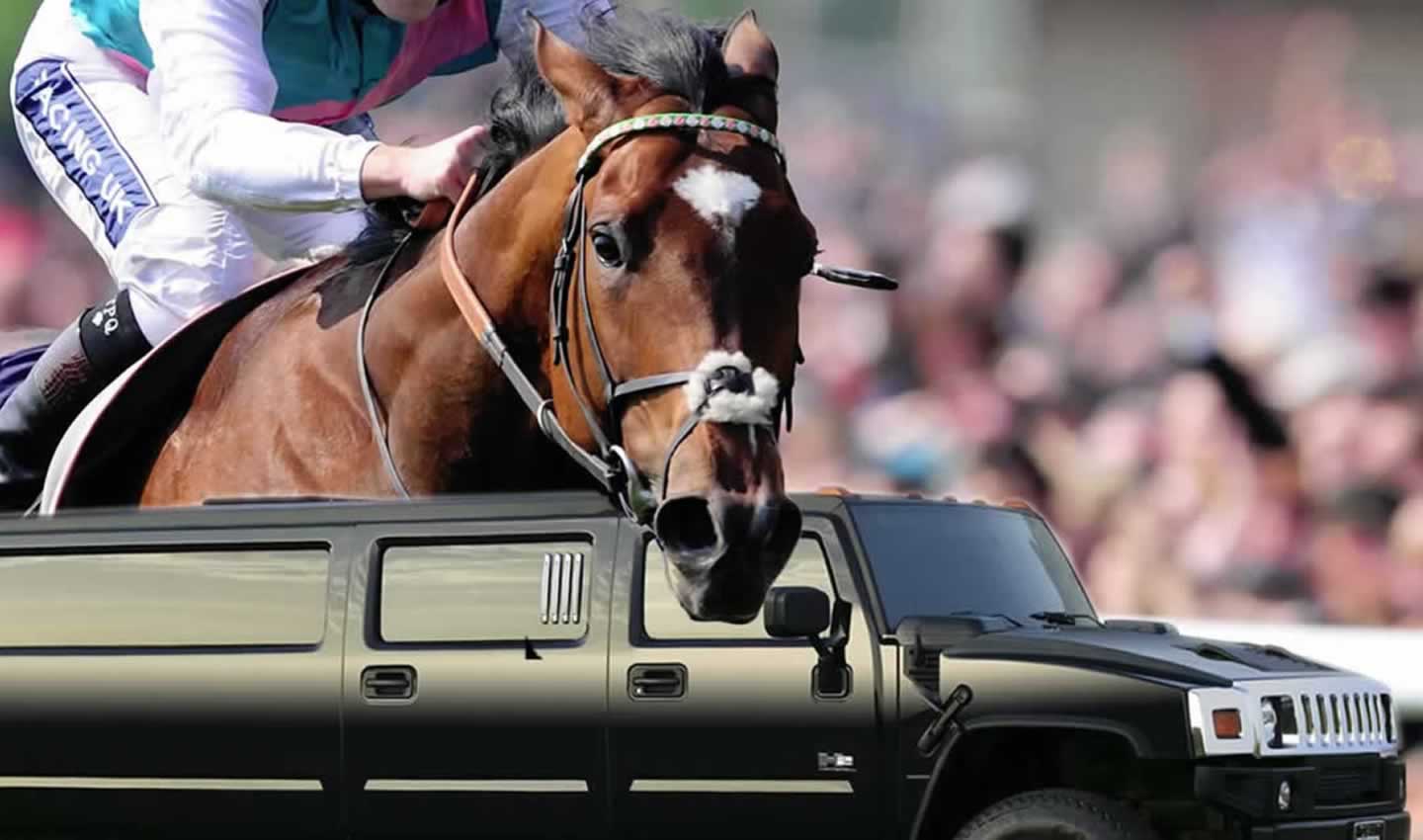 sporting event limo hire